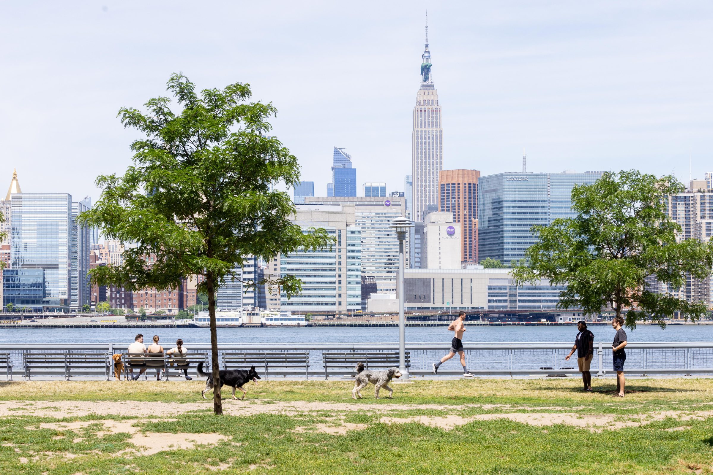 Greenpoint waterfront with the Manhattan skyline beyond